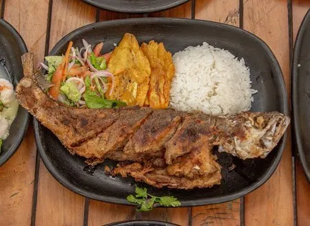 Corvina frita