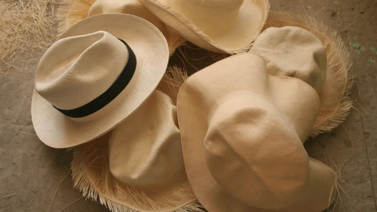 Sombreros de paja toquilla Ecuador