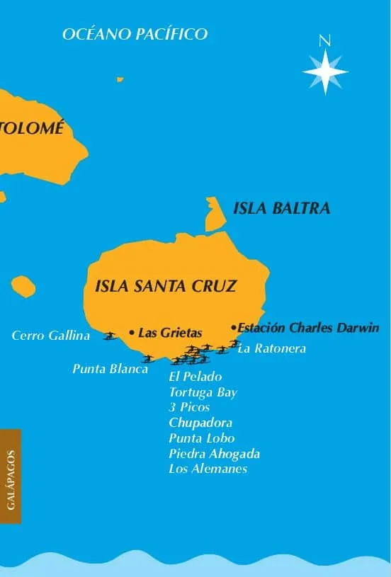 Ruta del Surf Galapagos Santa Cruz