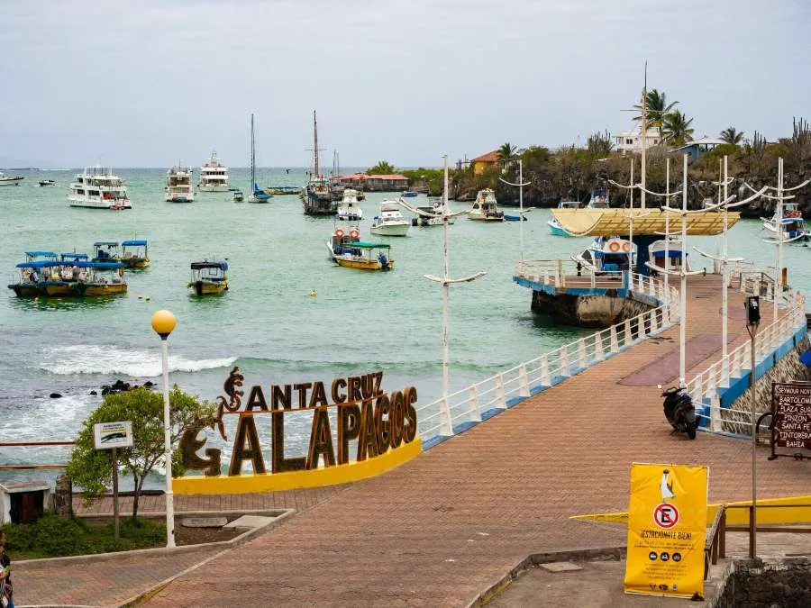 Santa Cruz Galapagos